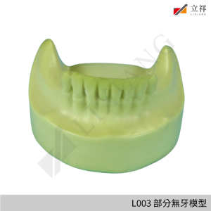 L003 部分無牙模型